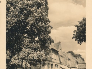 Hauptmann_Heinrich (423)