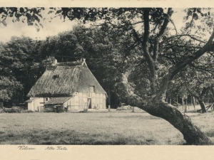 Hauptmann_Heinrich (733)